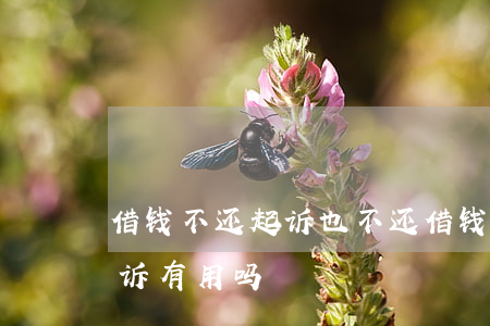 借钱不还起诉也不还(借钱不还起诉也不还 起诉有用吗)