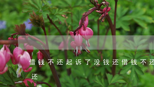 借钱不还起诉了没钱还(借钱不还起诉了没钱还)