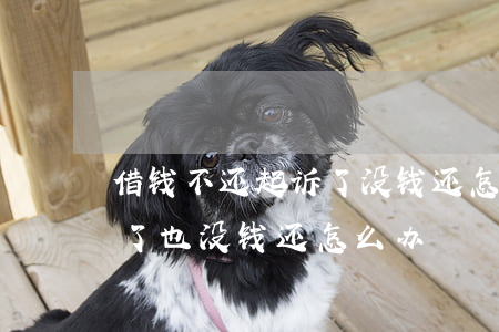 借钱不还起诉了没钱还怎么办(借钱不还起诉了也没钱还怎么办)