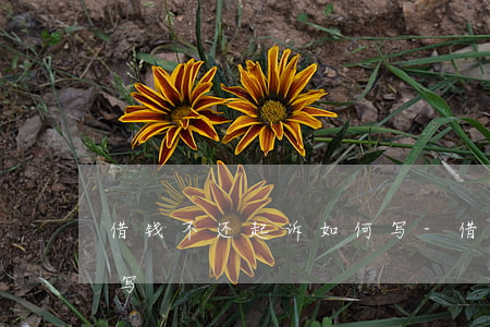 借钱不还起诉如何写-借钱不还起诉怎么样写