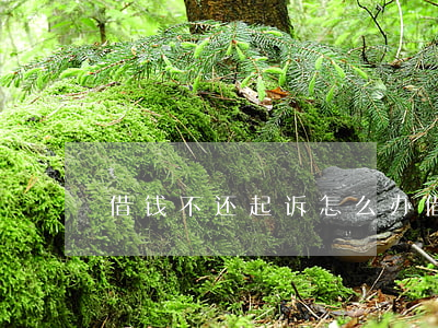 借钱不还起诉怎么办(借钱不还起诉怎么办)