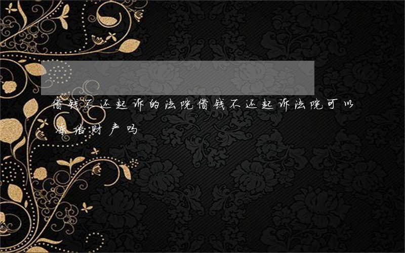 借钱不还起诉的法院(借钱不还起诉法院可以冻结财产吗)