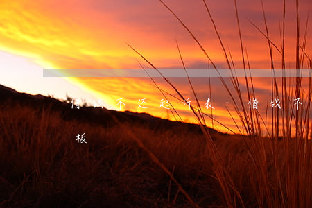 借钱不还起诉表-借钱不还起诉书怎么写模板