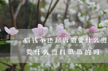 借钱不还起诉需要什么资料(借钱不还起诉需要什么资料纸质的吗)