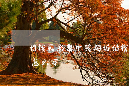借钱买彩票中奖起诉(借钱买彩票中奖起诉书怎么写)