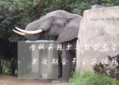 借钱买股票逾期会不会冻结股票-借钱买股票逾期会不会冻结股票账户