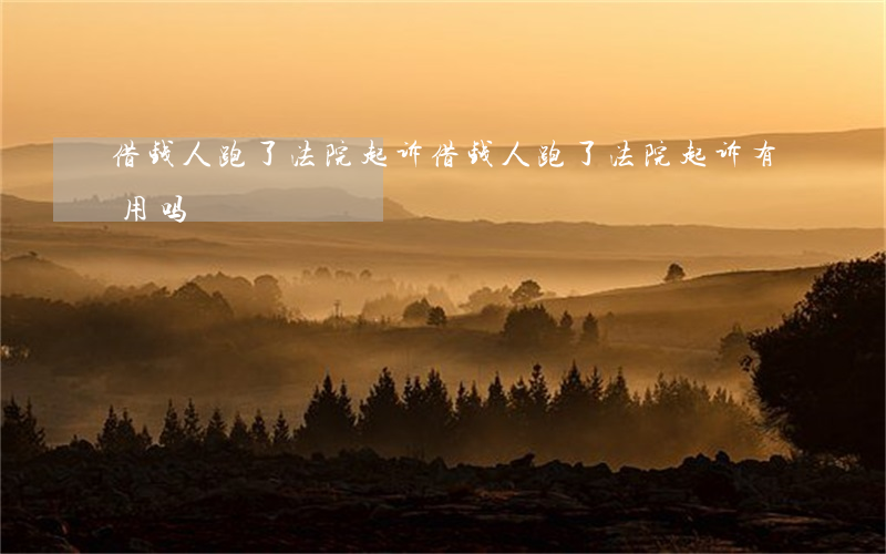 借钱人跑了法院起诉(借钱人跑了法院起诉有用吗)