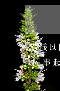 借钱以民事起诉还可以刑事诉讼吗-借钱以民事起诉还可以刑事诉讼吗法院