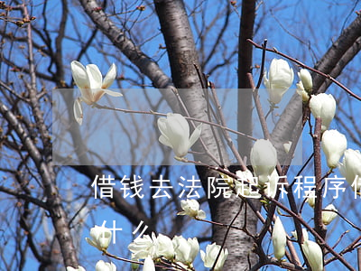 借钱去法院起诉程序(借钱去法院起诉程序是什么)