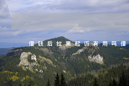 借钱后拉黑起诉有用吗(借钱后拉黑起诉有用吗)