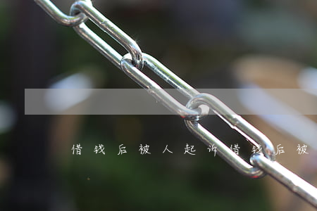 借钱后被人起诉(借钱后被人起诉)