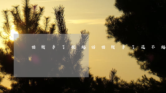 借钱多了被起诉(借钱多了还不起怎么办)