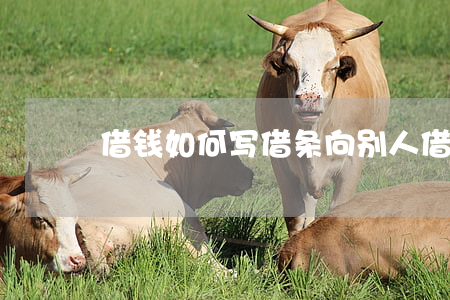 借钱如何写借条,向别人借钱怎么写借条 借钱如何写借条,向别人借钱怎么写借条