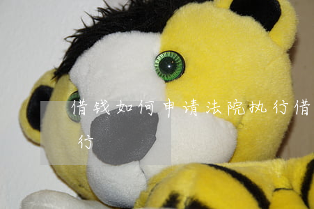 借钱如何申请法院执行(借钱如何申请法院执行)