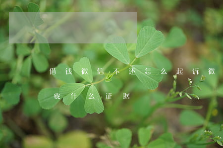 借钱微信不还怎么起诉(微信借钱不还起诉需要什么证据)