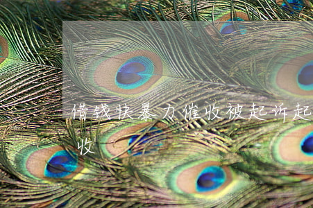 借钱快暴力催收被起诉(起诉贷款平台暴力催收)