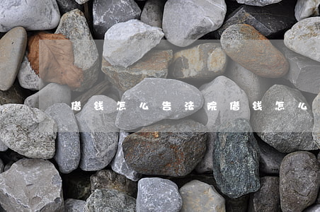 借钱怎么告法院(借钱怎么告法院)