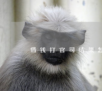 借钱打官司结果怎样(借钱告到了法院怎样算)