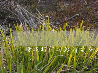 借钱打官司起诉要多久(借钱 打官司)