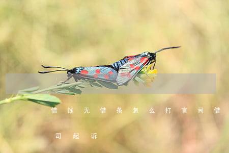 借钱无借条怎么打官司(借钱无借条怎么打官司起诉)