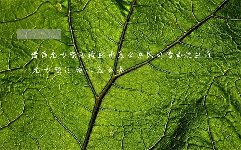借钱无力偿还被起诉怎么办(民间借贷被起诉无力偿还的人怎么办)