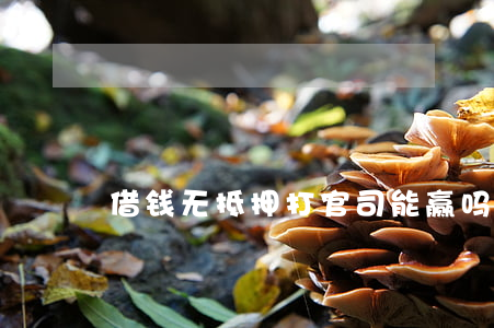 借钱无抵押打官司能赢吗(无抵押私人借钱)