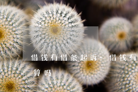 借钱有借条起诉-借钱有借条起诉了利息能算吗