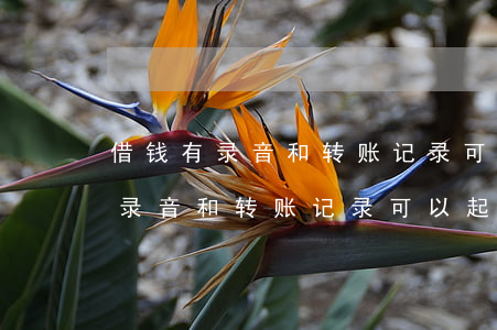 借钱有录音和转账记录可以起诉吗-借钱有录音和转账记录可以起诉吗有效吗