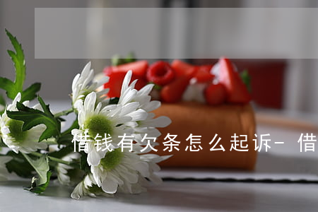 借钱有欠条怎么起诉-借钱有欠条怎么起诉