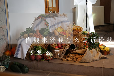借钱未还我 怎么写诉讼状(朋友借钱不还诉讼书怎么写)