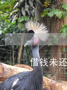 借钱未还起诉吗(借钱未还被起诉怎么办)