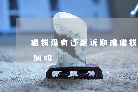 借钱没有还起诉期限(借钱不还起诉有时间限制吗)