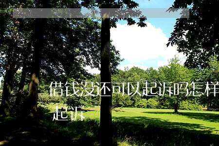 借钱没还可以起诉吗怎样起诉(借钱不还能否起诉)