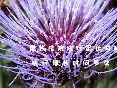 借钱法院执行最长时限(借贷在法院申请强制执行最长时间多久)