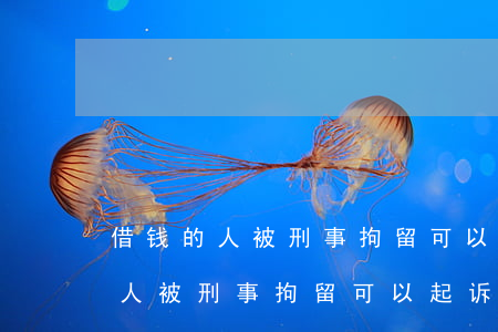 借钱的人被刑事拘留可以起诉他吗-借钱的人被刑事拘留可以起诉他吗知乎