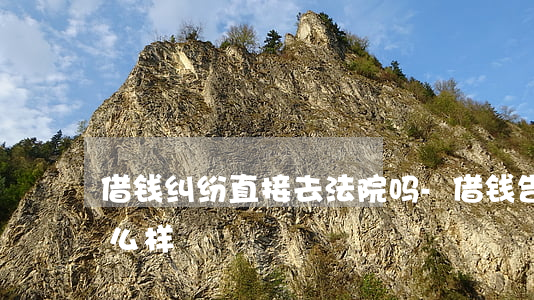 借钱纠纷直接去法院吗-借钱告上法庭会怎么样