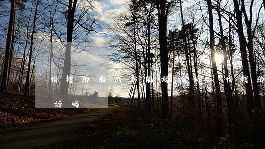 借钱给未成年能起诉吗-借钱给未成年能起诉吗