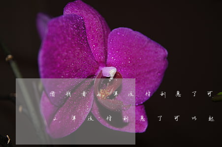 借钱者2年没付利息了可以起诉吗-借钱者2年没付利息了可以起诉吗法院
