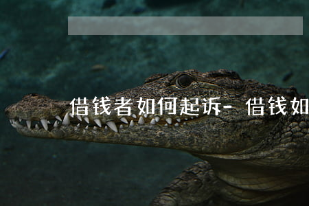 借钱者如何起诉-借钱如何起诉咨询