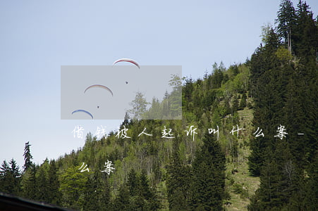 借钱被人起诉叫什么案-借钱被人起诉叫什么案