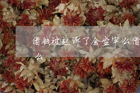 借钱被起诉了会坐牢么（借钱被起诉了会坐牢么）