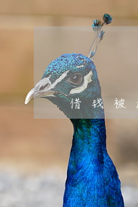 借钱被起诉会被拘留吗（借钱被起诉案底）