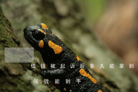 借钱被起诉后多久能拿到钱(借钱起诉多长时间钱能到手)