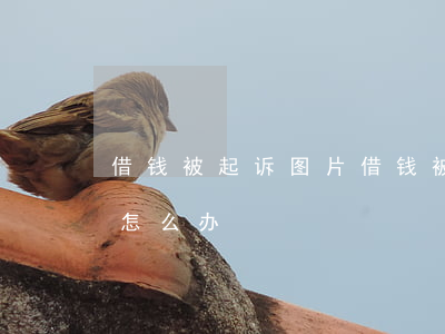 借钱被起诉图片(借钱被起诉了.但无力偿还怎么办?)