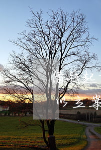 借钱起诉可以写多久(借钱起诉后多长时间可以立案)