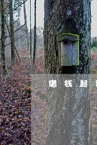 借钱起诉后能折诉吗(借款起诉可以撤诉吗)