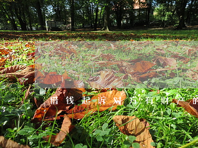 借钱起诉对方有财产的(起诉借钱的人)