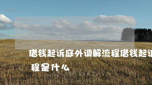 借钱起诉庭外调解流程 借钱起诉庭外调解流程是什么