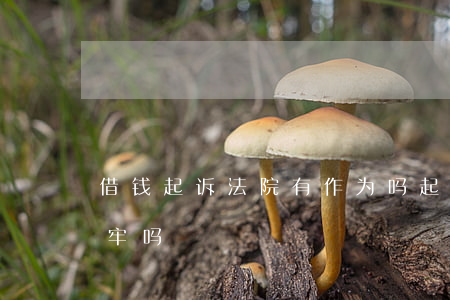 借钱起诉法院有作为吗(起诉借钱人、他会坐牢吗)
