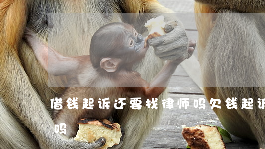 借钱起诉还要找律师吗(欠钱起诉还要请律师吗)